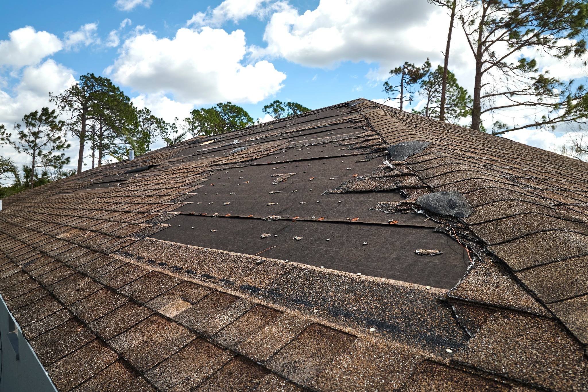 Wind damage shingles